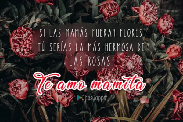 Frases de Amor para Mamá💖Te A android App screenshot 2